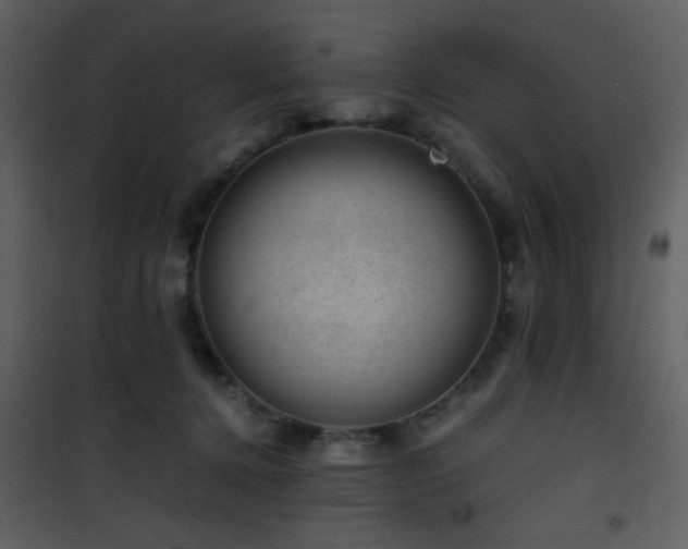 X0000101960368200807181046