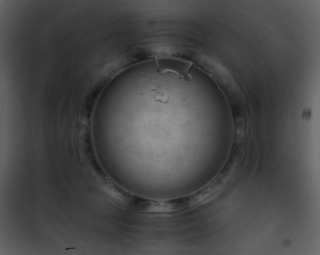 X0000101960369200807181046