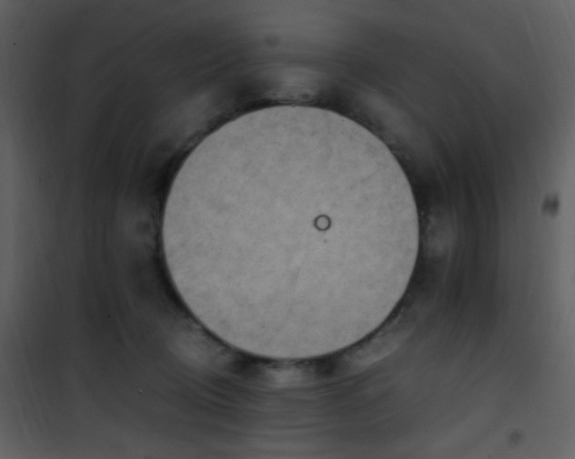X0000101960370200807181046