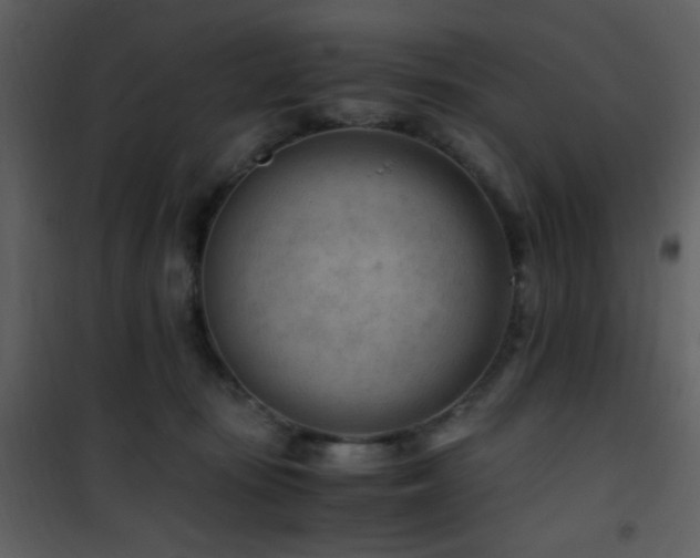 X0000101960371200807181046