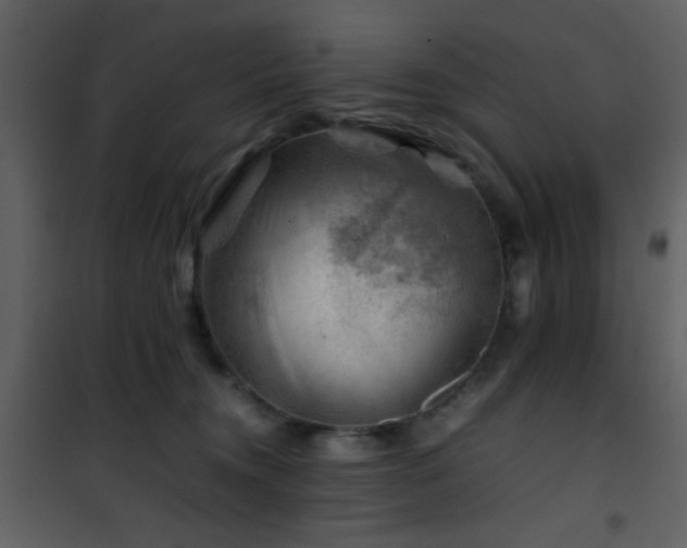 X0000101960372200807181046