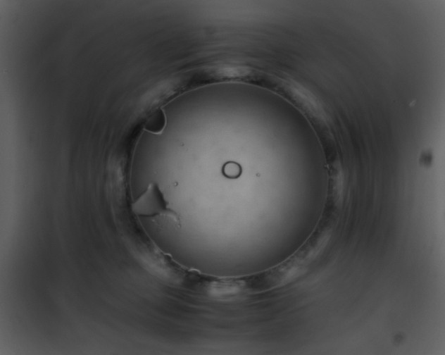 X0000101960373200807181046