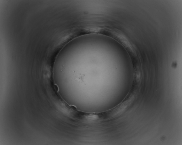 X0000101960374200807181046