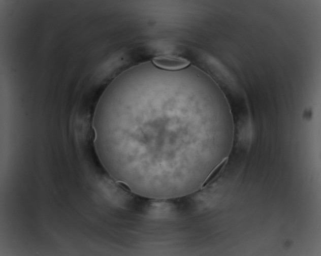 X0000101960376200807181046