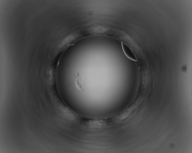 X0000101960378200807181046