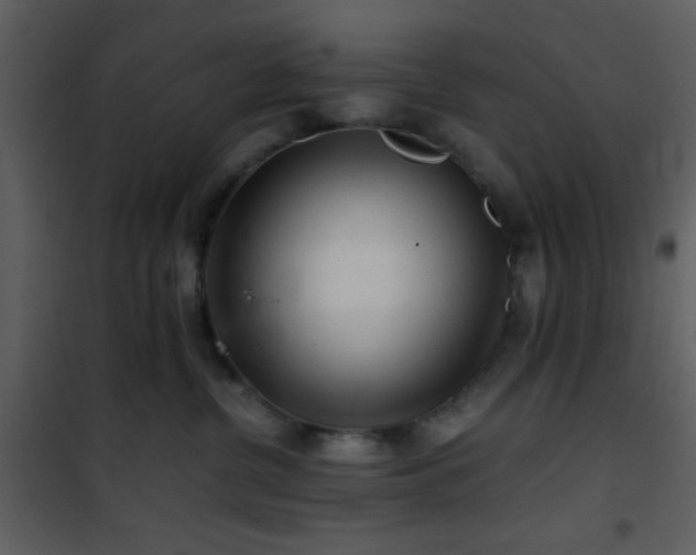 X0000101960380200807181046