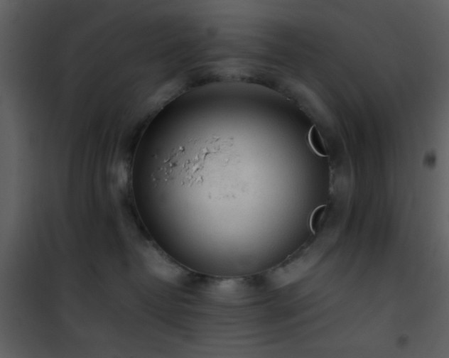 X0000101960382200807181046