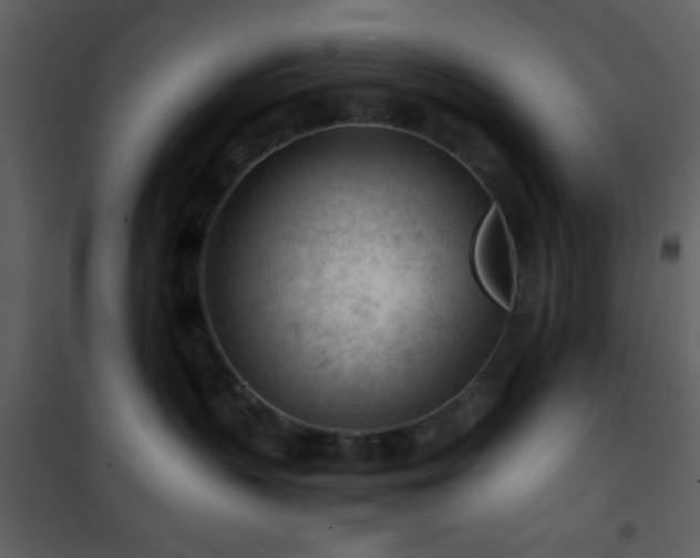 X0000101960383200807181046