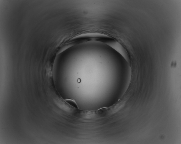 X0000101960384200807181046