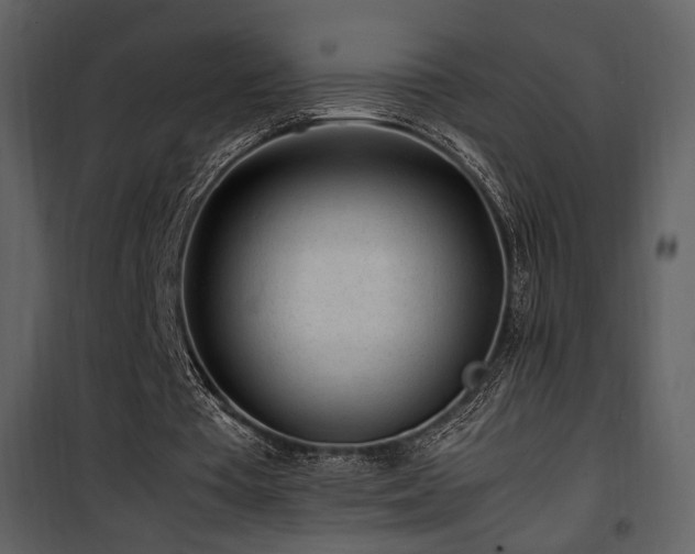 X0000101960385200807181046