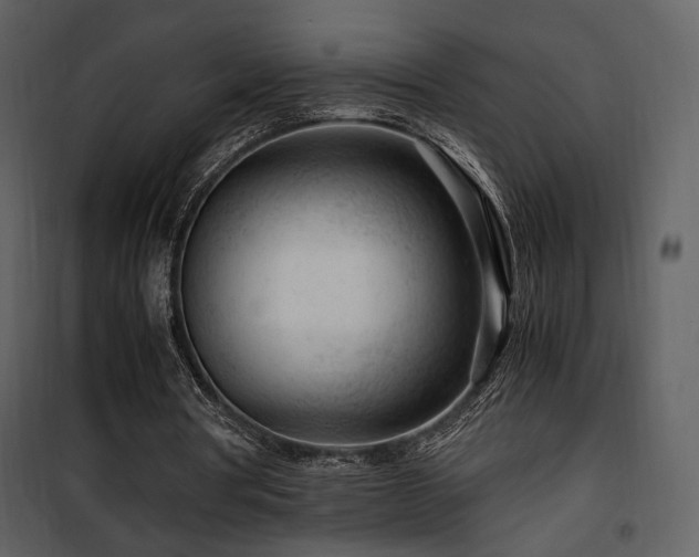 X0000101960386200807181046
