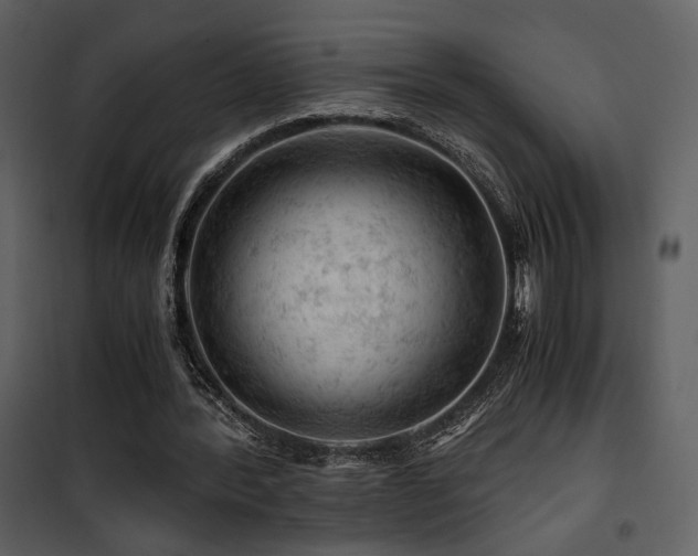 X0000101960388200807181045