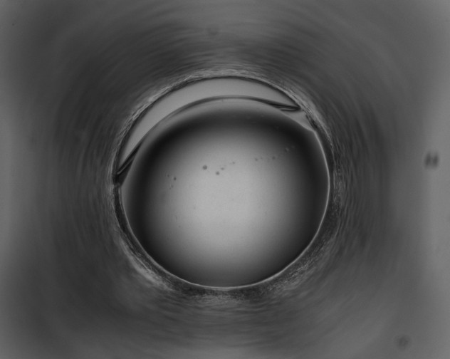 X0000101960389200807181045
