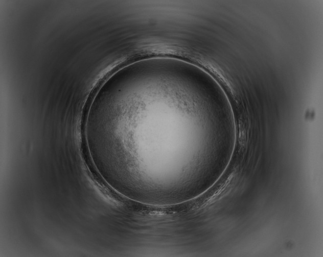 X0000101960390200807181045