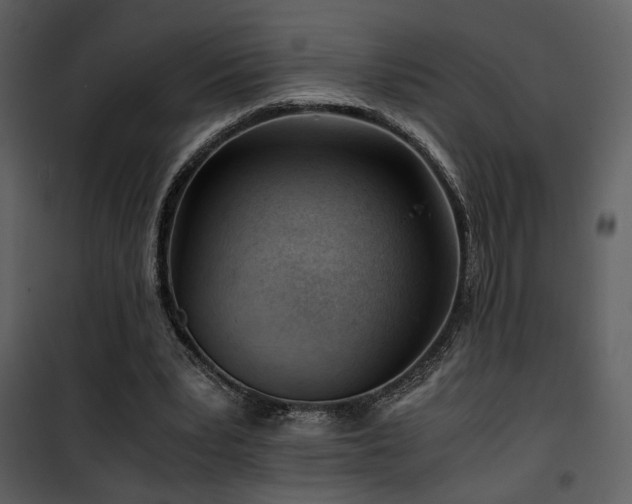 X0000101960391200807181045