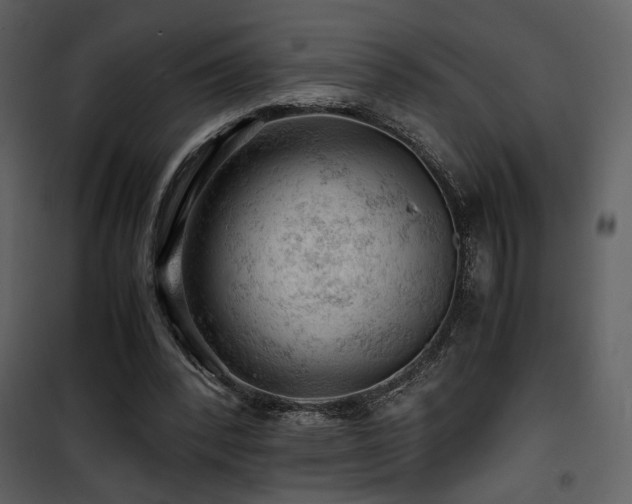 X0000101960392200807181045