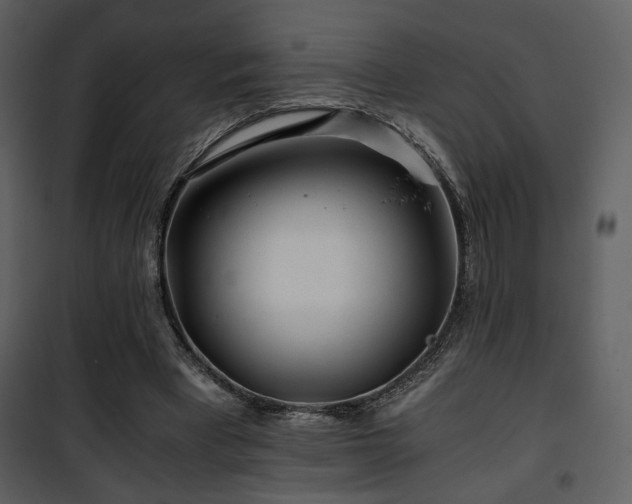 X0000101960393200807181045