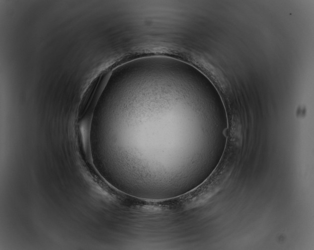 X0000101960394200807181045
