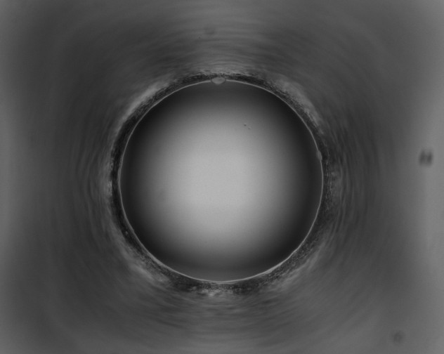 X0000101960395200807181045