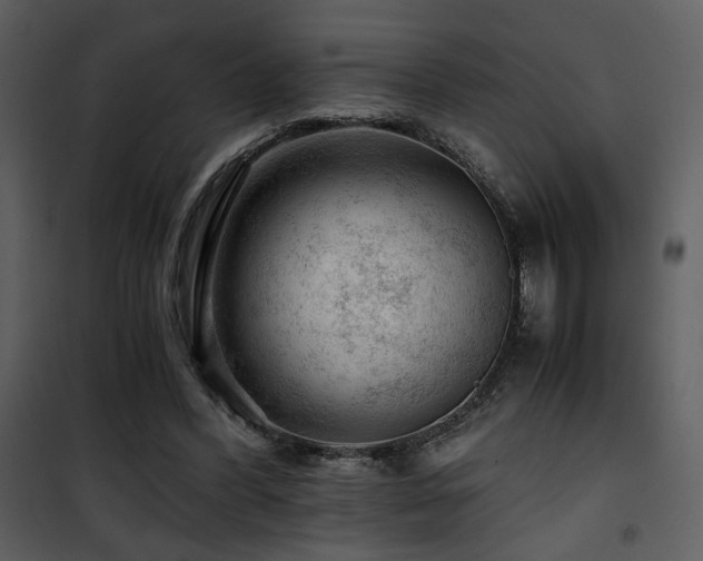 X0000101960396200807181045