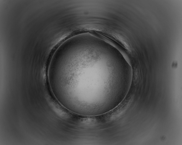 X0000101960398200807181045