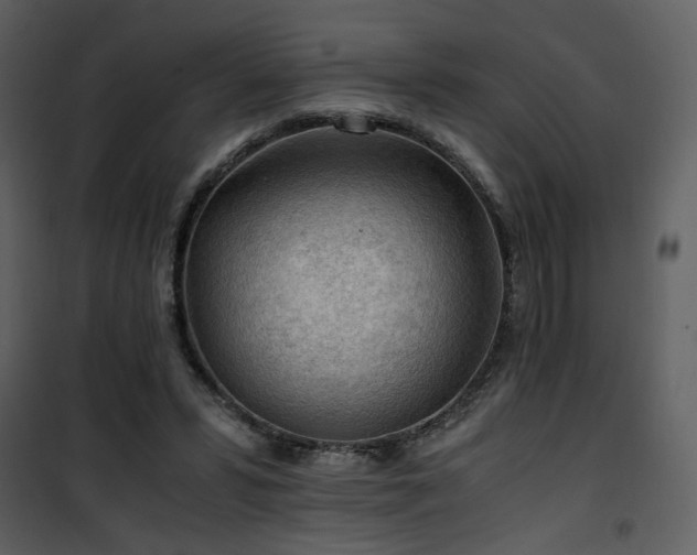 X0000101960399200807181045