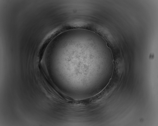 X0000101960400200807181045