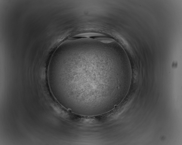 X0000101960401200807181045