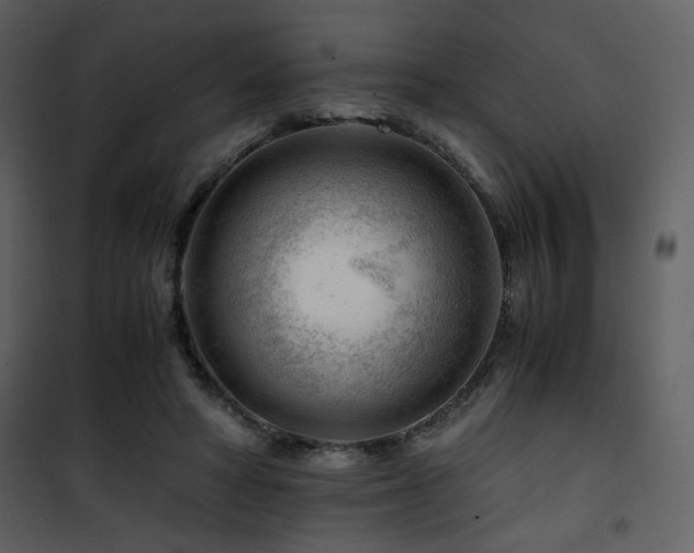 X0000101960402200807181045