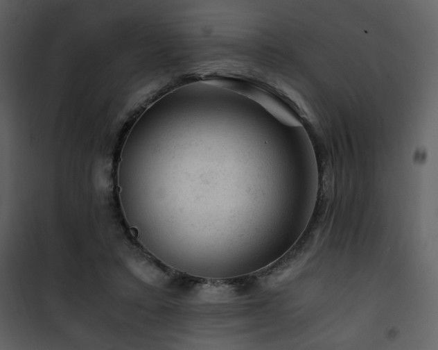 X0000101960403200807181045