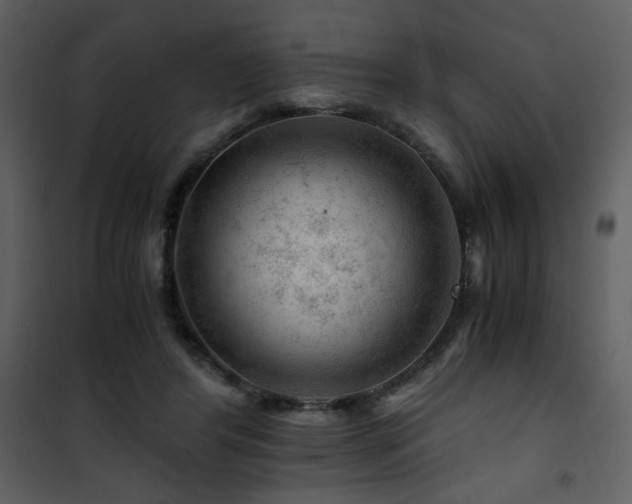 X0000101960404200807181045
