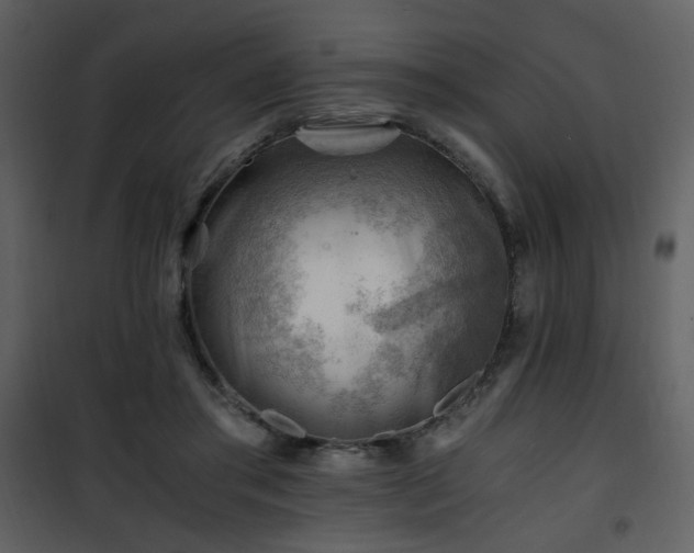X0000101960405200807181045