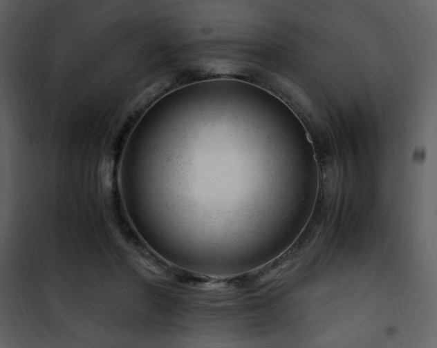 X0000101960406200807181045