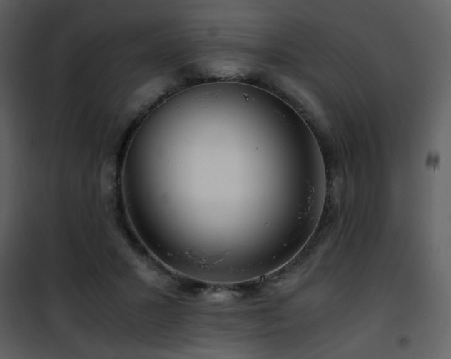 X0000101960407200807181045