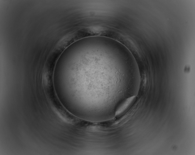 X0000101960408200807181045