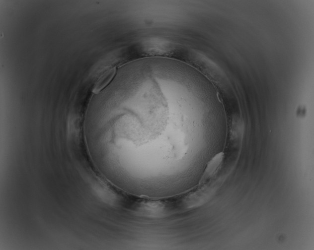 X0000101960409200807181045