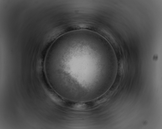 X0000101960410200807181045