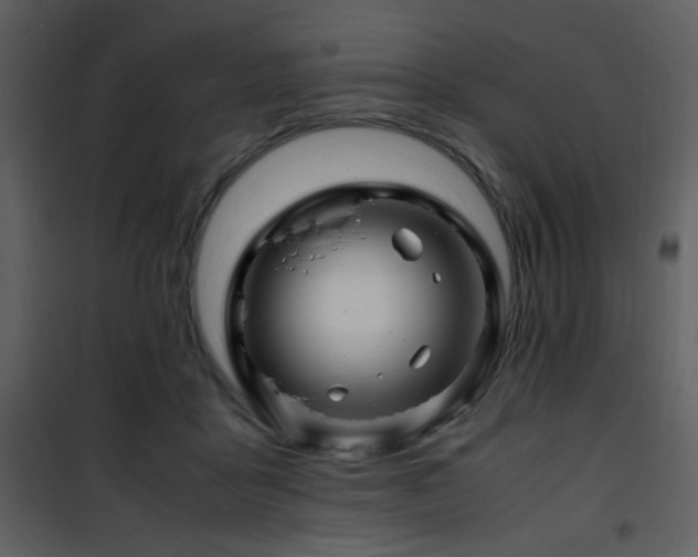 X0000101960411200807181045