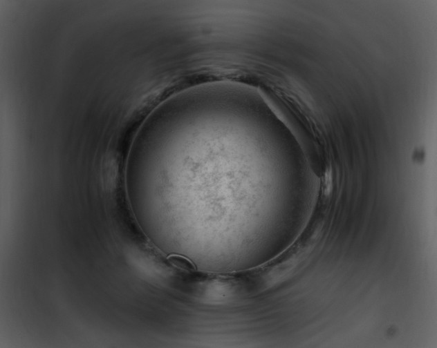 X0000101960412200807181045