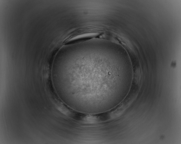 X0000101960413200807181045