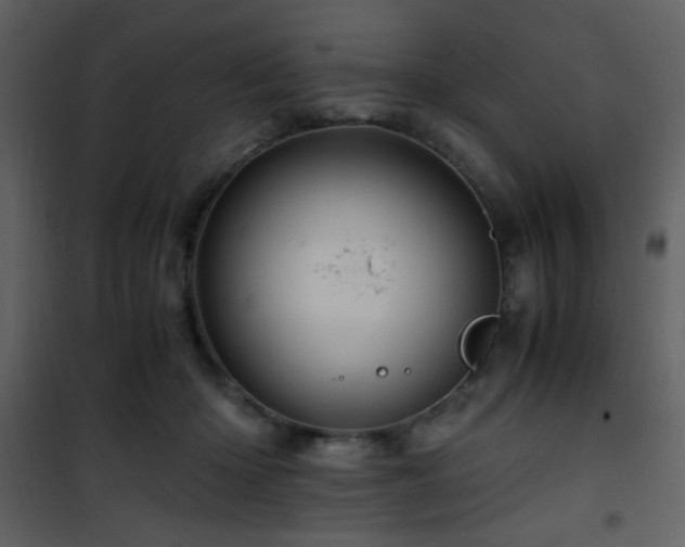 X0000101960414200807181045