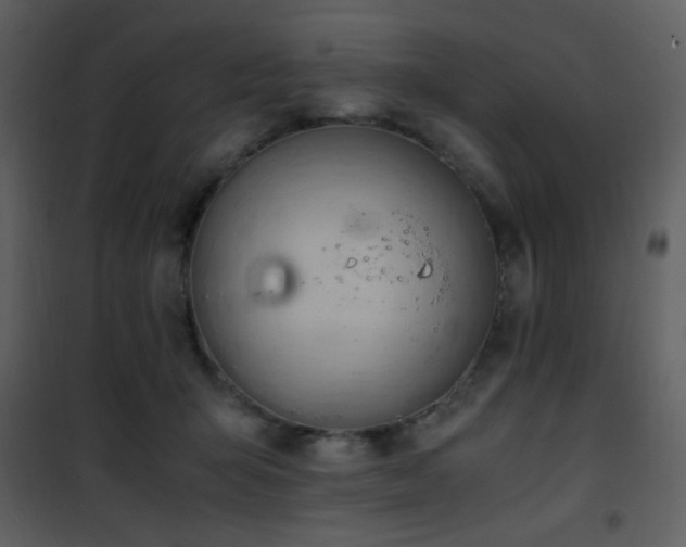 X0000101960415200807181045