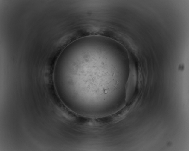 X0000101960416200807181045