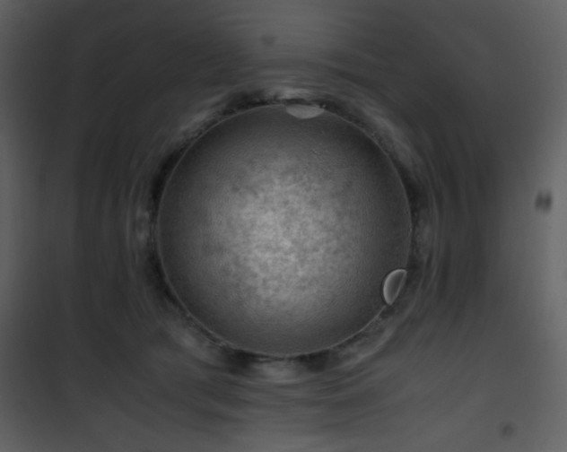 X0000101960417200807181045