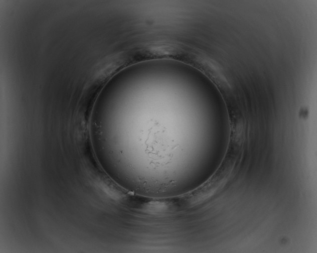 X0000101960418200807181045