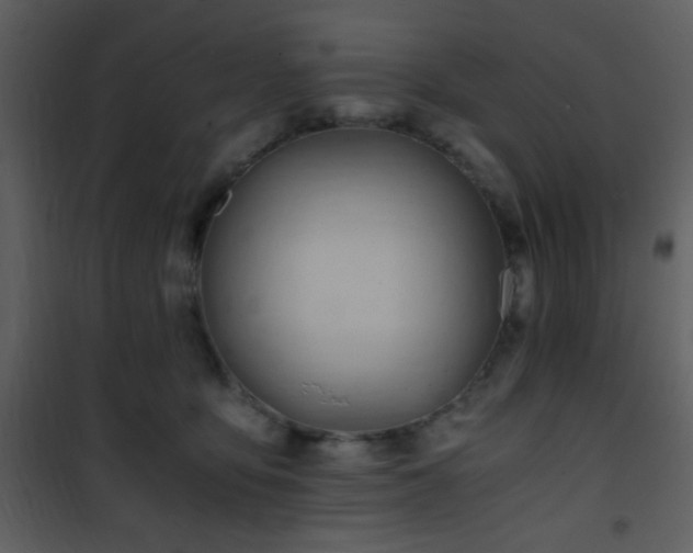 X0000101960419200807181045