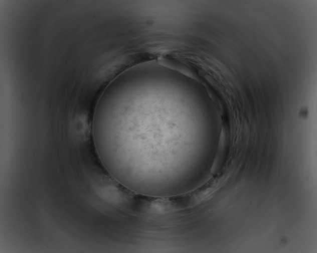X0000101960420200807181045