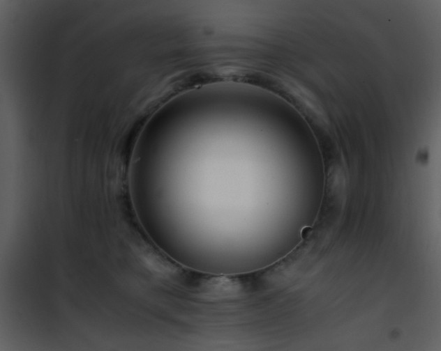 X0000101960421200807181045