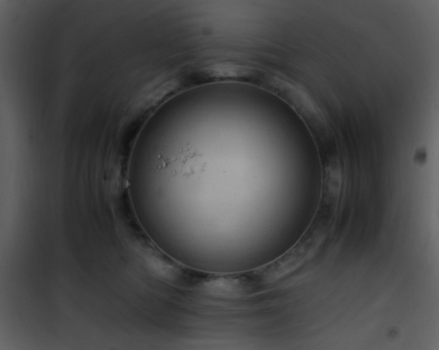 X0000101960422200807181045