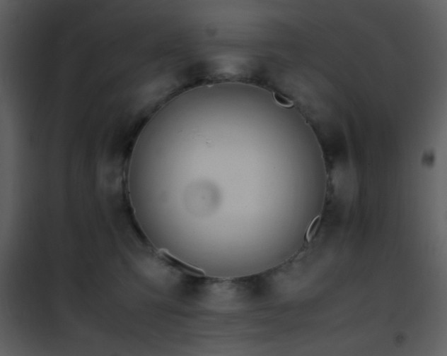 X0000101960423200807181045